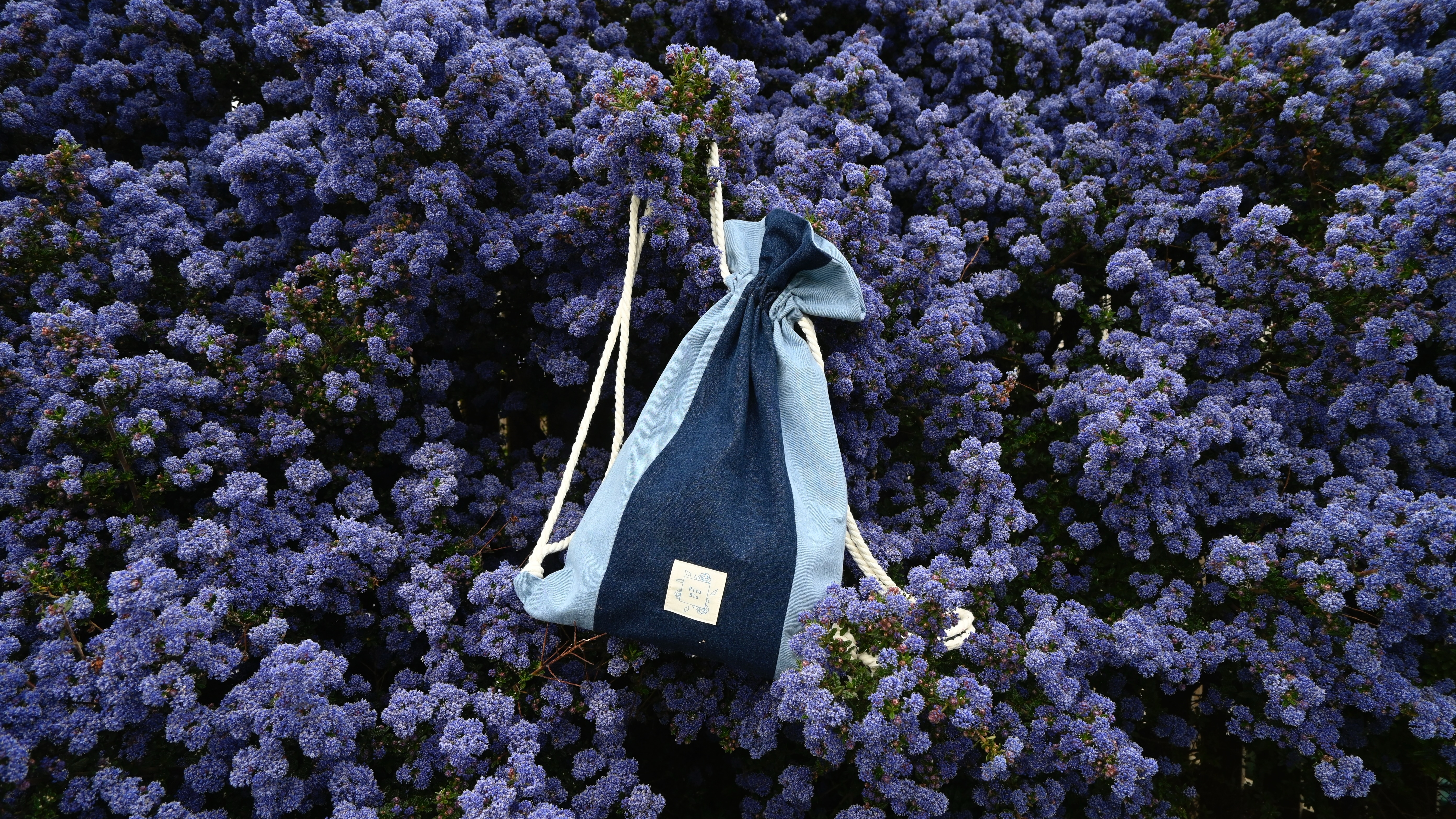 Azuri backpack laying on a Californian lilac bush.